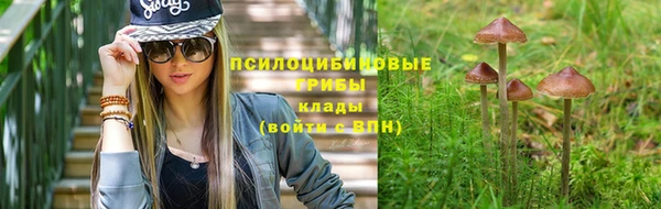 молекула духа Бронницы