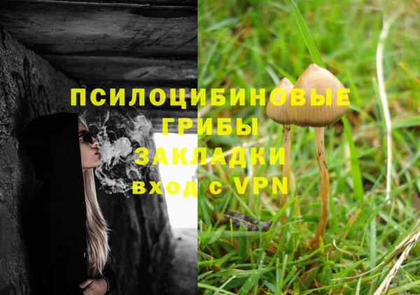 молекула духа Бронницы